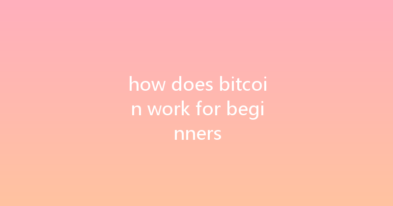 how does bitcoin work for beginners 